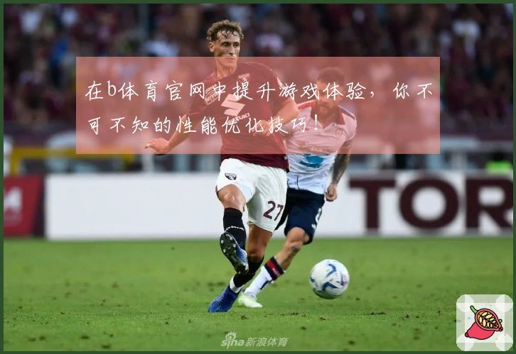 在b体育官网中提升游戏体验，你不可不知的性能优化技巧！