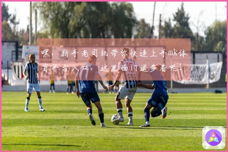 嘿，新手老司机带你快速上手mk体育平台入口，这里面门道多着呢！
