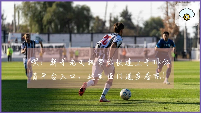 嘿，新手老司机带你快速上手mk体育平台入口，这里面门道多着呢！