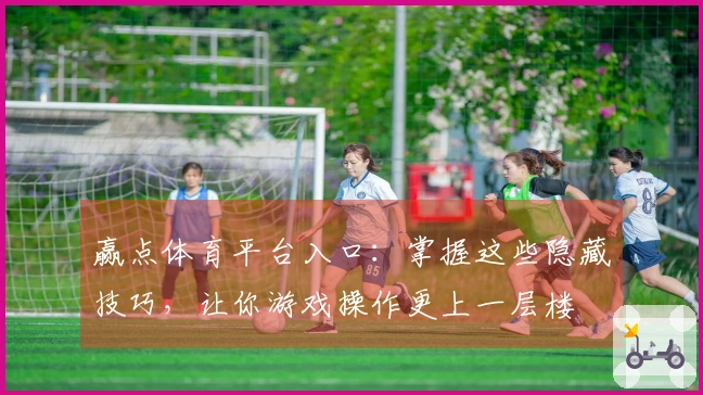 赢点体育平台入口：掌握这些隐藏技巧，让你游戏操作更上一层楼